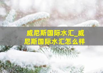 威尼斯国际水汇_威尼斯国际水汇怎么样